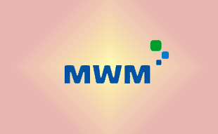 ✓ MWM 0403 2965 Запчасть MWM 